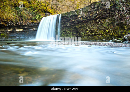 Sgwd Gwladus falls près de Pontneddfechan en plein essor après de fortes pluies Brecon Beacons National Park South Wales UK Banque D'Images