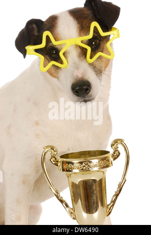 Chien champion - Jack Russel terrier portant des lunettes en forme d'étoile assis avec Trophy Banque D'Images