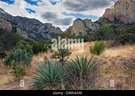 Montagnes Chiricahua, portail, Arizona Banque D'Images