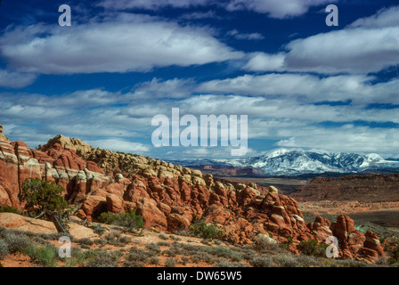 Vue depuis l'Utah Arches National Park avec rocheuses en arrière-plan Banque D'Images