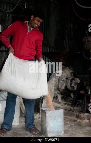 1 l'homme Indien maïs broyage à la farine dans un récipient Banque D'Images