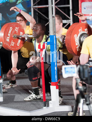 Columbus, Ohio. 28 février 2014- Kojo Gyennin StartStrength.com 2014 squats au Pro Powerlfitng brutes à la compétition Arnold Festival sportif. Credit : Brent Clark/Alamy Live News Banque D'Images