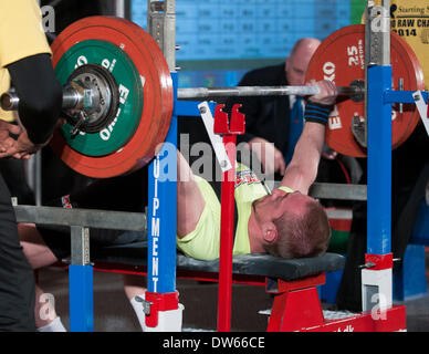 Columbus, Ohio. 28 février 2014- Alexey Bakhirev bancs à l'StartStrength.com Powerlfitng 2014 Matières Pro Concurrence à l'Arnold Festival sportif. Credit : Brent Clark/Alamy Live News Banque D'Images