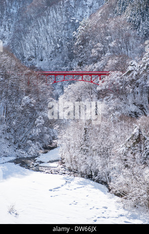 Rouge Un pont enjambant une vallée couverte de neige et d'arbres près de Yamada Onsen à Nagano, Japon Banque D'Images