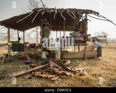 1 mars 2014 - Mae Sot, Tak, Thaïlande - un couple birmans travaillent ensemble pour mettre un nouveau mur extérieur de leur maison dans une petite communauté birmane dans la forêt à quelques kilomètres au nord de Mae Sot. Le nouveau mur est un tapis en rotin. Mae Sot, sur le Thai-Myanmer (Birmanie) frontière, a une très grande population de migrants birmans. Certains sont des réfugiés qui ont quitté le Myanmar pour échapper à l'agitation civile et la persécution politique, d'autres sont ''réfugiés économiques'' qui sont venus en Thaïlande à la recherche d'un emploi et de meilleures opportunités. (Crédit Image : © Jack Kurtz/ZUMAPRESS.com) Banque D'Images