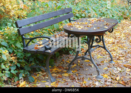 Banc de parc automne solitaire Banque D'Images