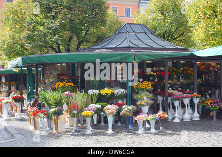 Flower stall Wroclaw Solny Square Banque D'Images