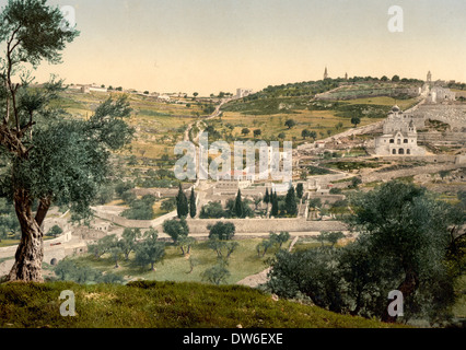 Mont des Oliviers et Gethsémané, vue générale, Jérusalem, vers 1900 Banque D'Images