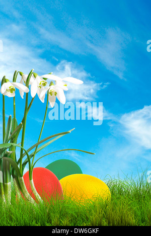 Perce-neige au printemps, l'herbe verte et ciel bleu Banque D'Images