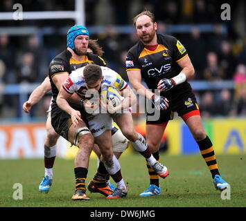 Rugby Union, High Wycombe, en Angleterre. 1er mars 2014. . James Haskell des London Wasps s'attaque va falaise de Sale Sharks au cours de l'Aviva Premiership match entre les London Wasps et Sale Sharks à Adams Park, 1 mars, 2013 à High Wycombe, en Angleterre. Banque D'Images