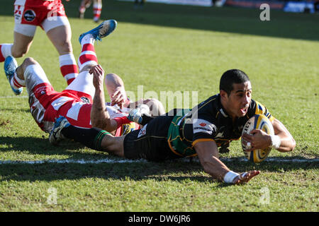 Northampton, en Angleterre. 1er mars 2014. Ken PISI de Northampton Saints marque le premier essai du jeu au cours de l'Aviva Premiership match entre Northampton Saints et Gloucester Rugby à Franklin's Gardens. Credit : Action Plus Sport Images/Alamy Live News Banque D'Images