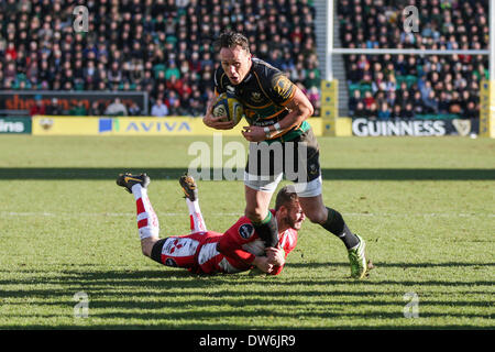 Northampton, en Angleterre. 1er mars 2014. James Wilson de Northampton Saints briser l'attaquer de Martyn THOMAS de Gloucester Rugby au cours de l'Aviva Premiership match entre Northampton Saints et Gloucester Rugby à Franklin's Gardens. Credit : Action Plus Sport Images/Alamy Live News Banque D'Images