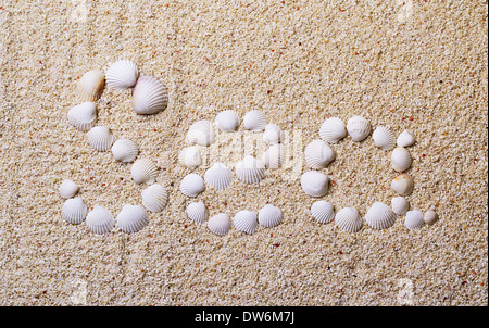 Titre 'Sea' avec des coquilles de sable de corail comme arrière-plan Banque D'Images