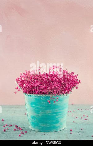 La respiration du bébé rose fleurs séchées dans un vase bleu sur fond vintage en bois Banque D'Images