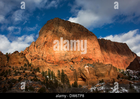 Horse Ranch Mountain (8726 pieds) dans les Canyons Kolab, Zion National Park, Utah Banque D'Images