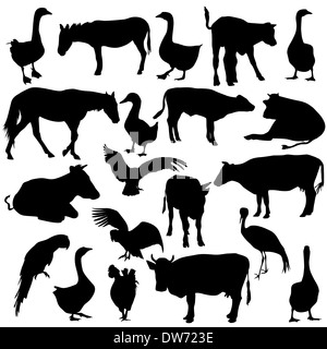 Ensemble Noir silhouettes les animaux de zoo collection sur fond blanc. Vector illustration. Banque D'Images