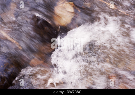 Peu de vue sur la rivière Cascade. Libre. Banque D'Images