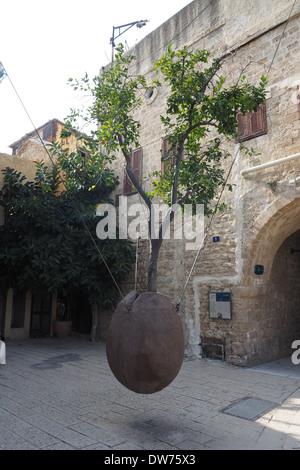 Arbre en pot suspendu à Jaffa, Tel-Aviv, Israël Banque D'Images