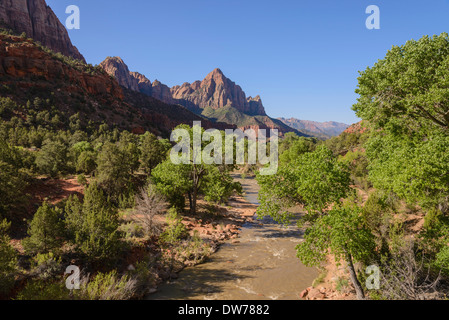 Rivière vierge en regardant vers la Sentinelle, Zion National Park, Utah, USA Banque D'Images