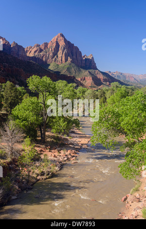 Rivière vierge en regardant vers la Sentinelle, Zion National Park, Utah, USA Banque D'Images