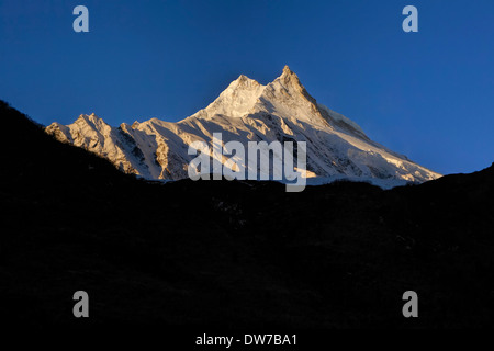 Manaslu au lever du soleil. À 8156 mètres (26 759 pieds) Manaslu est le huitième plus haut sommet de la planète. Banque D'Images