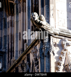 Close-up of gargoyle sur l'extérieur de 1 e année inscrits Groupes York Minster North Yorkshire angleterre Europe Banque D'Images