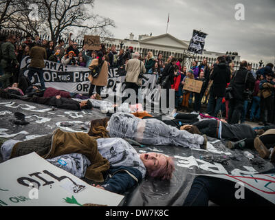 Washington, DC., USA. 2 mars, 2014. Plusieurs centaines d'étudiants de partout aux États-Unis se sont réunis à Washington, DC ce week-end pour protester contre la construction de l'oléoduc XL, citant le dommage qu'elle causerait à l'environnement. ©Ann peu/Alamy News Banque D'Images