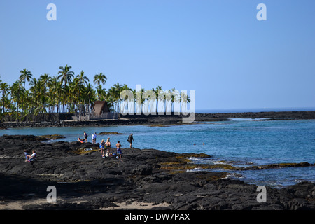 Les rochers et les cocotiers à Honaunau Bay, Big Island, Hawaii, USA Banque D'Images