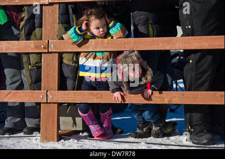 Willow, Alaska, USA. 2e Mar, 2014. Marc Lester / Anchorage Daily News .Les jeunes fans d'oeil en bas de la goulotte. Course a commencé pour l'Iditarod Trail 2014 Course de chiens de traîneaux sur Willow Lake le dimanche après-midi, le 2 mars 2014. Soixante-neuf équipes ont commencé cette année, l'Iditarod. Crédit : Marc Lester/Anchorage Daily News/ZUMAPRESS.com/Alamy Live News Banque D'Images
