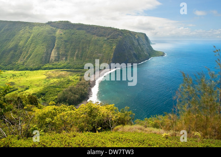 Vallée Waipio lookout sur Hawaii Big Island Banque D'Images