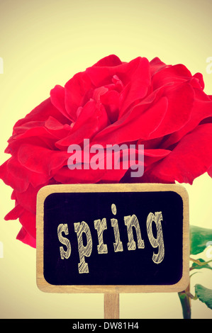 Une rose rouge et le mot printemps écrit dans un tableau, avec une étiquette de jardin effet rétro Banque D'Images