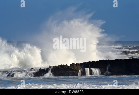 Vagues géantes à shore à Waimea Bay, North Shore d'Oahu, Hawaii, USA Banque D'Images