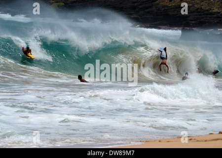 S'amusant Bodyboarders surf les vagues d'une plage de sable, à l'Est Oahu, Hawaii, USA Banque D'Images