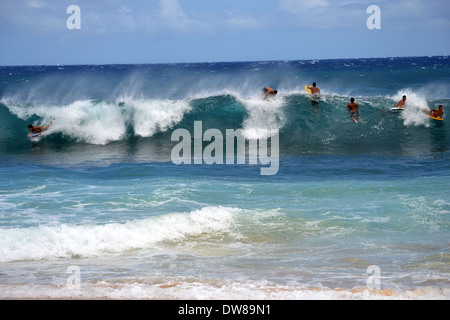 S'amusant Bodyboarders surf les vagues d'une plage de sable, à l'Est Oahu, Hawaii, USA Banque D'Images