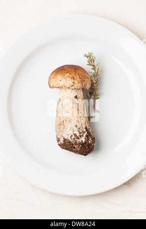 Vue de dessus sur plaque blanche avec un cep mushroom et le thym sur nappe blanche Banque D'Images
