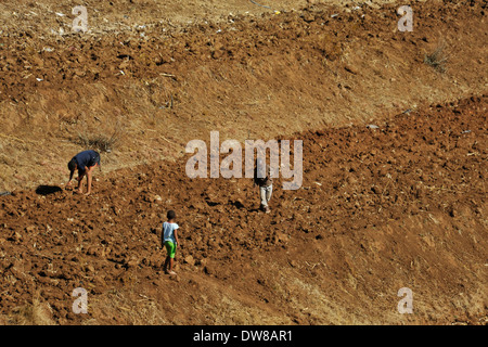 Katse, Lesotho, personnes, trois garçons jouant dans des Basotho champ labouré, paysage, l'agriculture, l'origine ethnique, de l'Afrique Banque D'Images