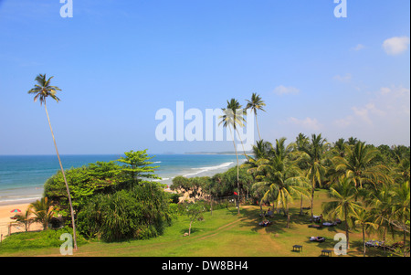 Sri Lanka, Bentota, plage, palmiers, paysages, Banque D'Images