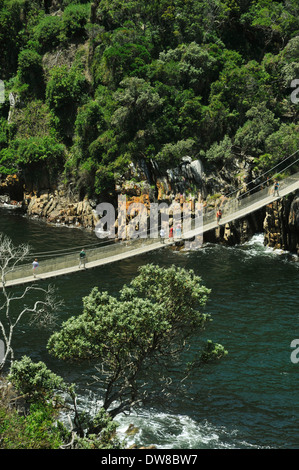 La rivière, les tempêtes Tsitsikama National Park, Eastern Cape, Afrique du Sud, aux personnes bénéficiant d'une vue du pont suspendu au-dessus de la rivière tempêtes Banque D'Images