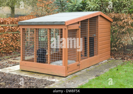 Un chien cocker noir et d'un chenil en bois à l'extérieur dans un jardin en Angleterre, Royaume-Uni Banque D'Images