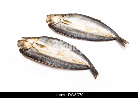 Kippers fumés teints non isolé sur un fond blanc studio. Banque D'Images