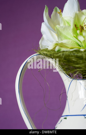 Un vase de fleurs blanches sur fond violet Banque D'Images