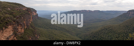 Vues depuis les chutes de Wentworth, la forêt tropicale tempérée, les Blue Mountains, Sydney Australie Banque D'Images