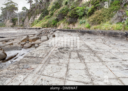 Formation de moules, chaussée à facettes - plate-forme marine en pierre à soie fissurée près d'Eaglehawk Neck, Port Arthur, Tasmanie, Australie Banque D'Images