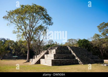 Parc archéologique de Copán Ruinas, au Honduras Banque D'Images