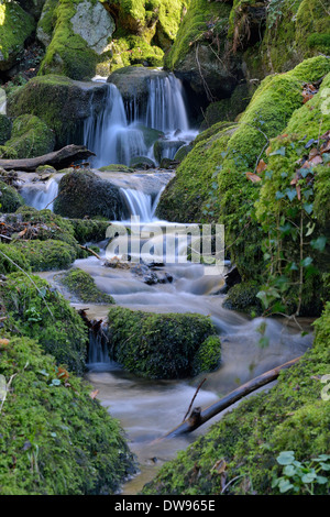 Gaishöll Cascades, près de Sasbachwalden, Forêt-Noire, Bade-Wurtemberg, Allemagne Banque D'Images