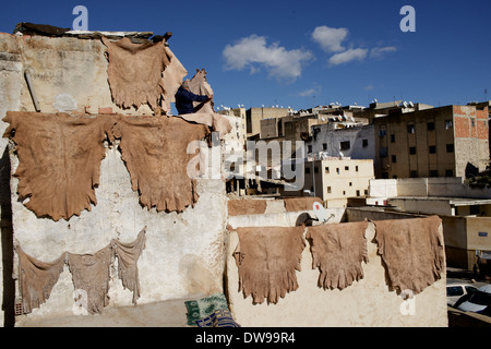 Le souk de Fez en cuir Banque D'Images