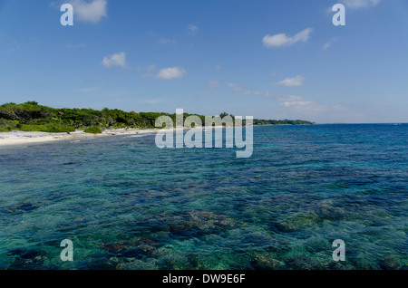 La vue sur la mer d'arbres en arrière-plan à l'autre Utila Bay Islands Honduras Banque D'Images