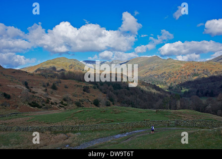 Le Fairfield Horseshoe de Loughrigg Fell, avec a chuté-runner, Parc National de Lake District, Cumbria, Angleterre, Royaume-Uni Banque D'Images