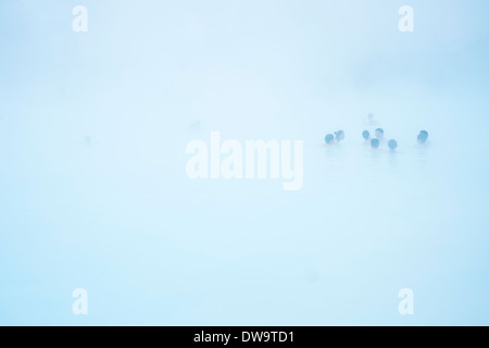 Baigneurs dans l'eau torride créé par la station géothermique de Svartsengi. Blue Lagoon, Islande Banque D'Images