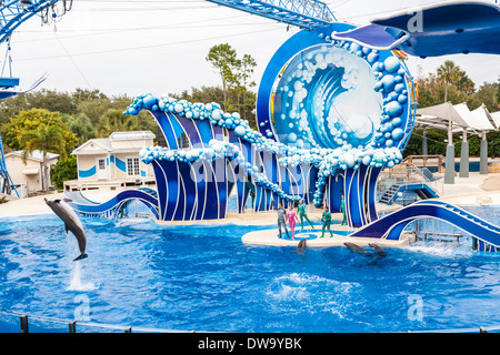 Les formateurs des animaux avec des dauphins au Blue Horizons show à SeaWorld Orlando Banque D'Images